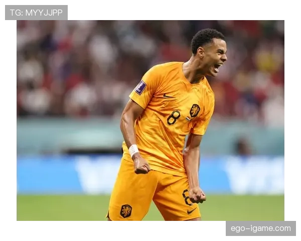 荷兰新星加克波状态火热，助球队剑指世界杯佳绩